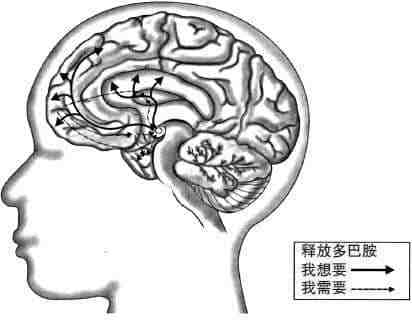 安徽得润电气 成套高低压开关柜 厂家 报价 电话:400-0551-777 qq:3176885416 安徽得润电气 成套高低压开关柜 厂家 报价 电话:400-0551-777 qq:3176885416