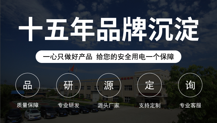 安徽得润电气品牌 安徽得润电气品牌